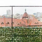 Spacious Penthouse With Terrace And City-view * Bucharest
