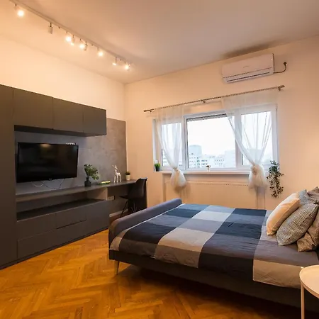 アパート Spacious Penthouse With Terrace And City-view ブカレスト