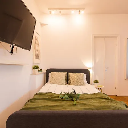 Spacious Penthouse With Terrace And City-view Apartment Bucharest
